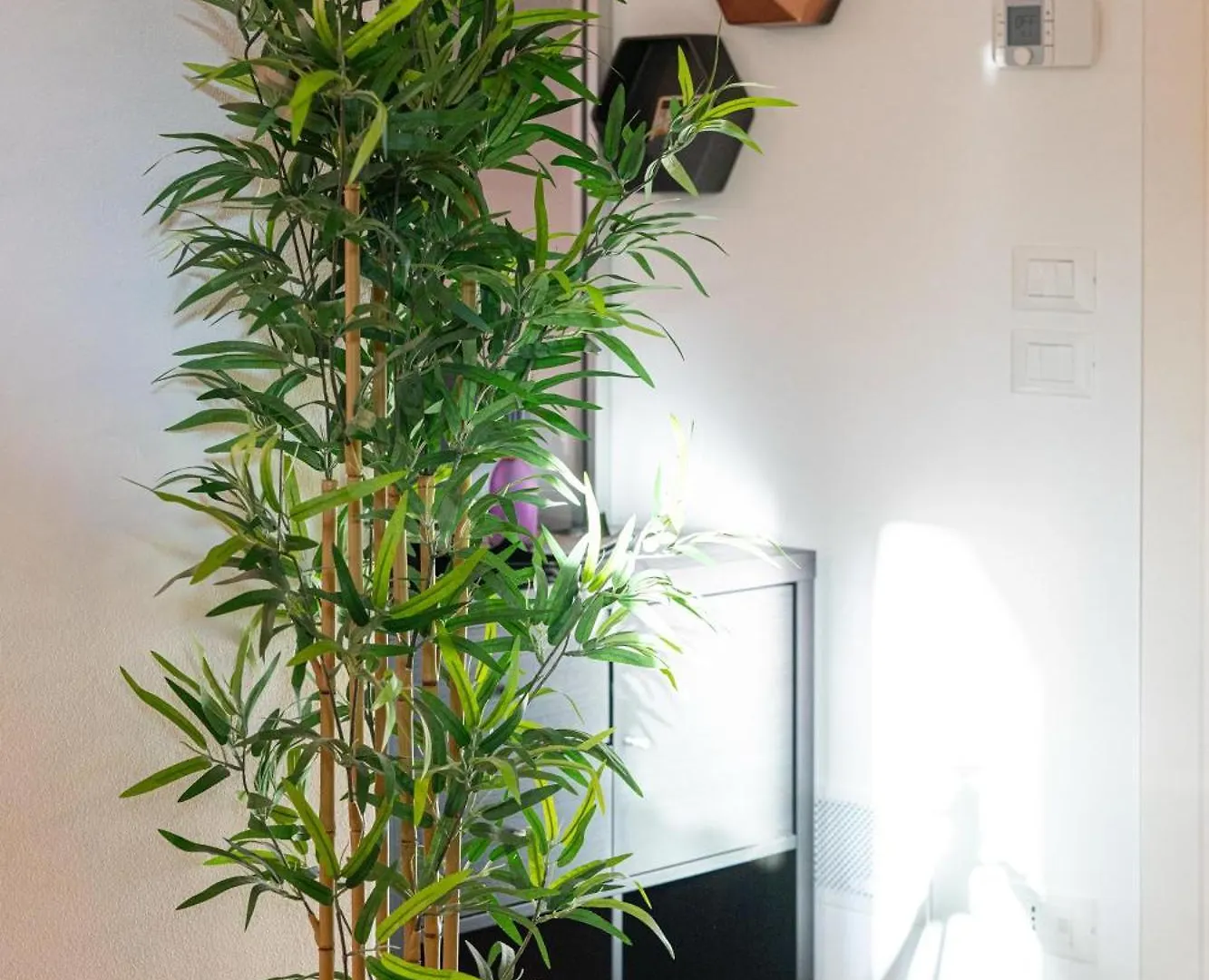 Apartment Vera Home Savignano sul Rubicone